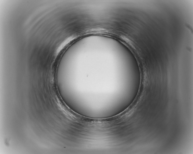 X0000102021458200807180932