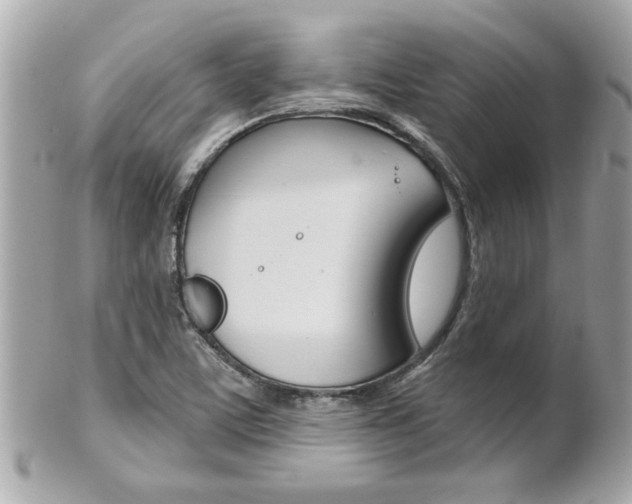 X0000102021459200807180932