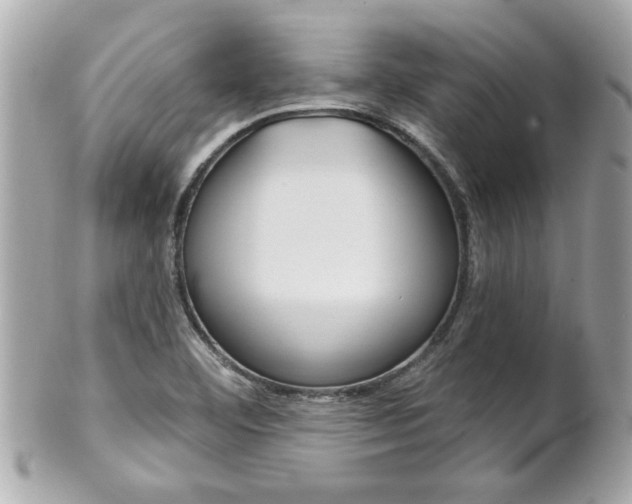 X0000102021460200807180932