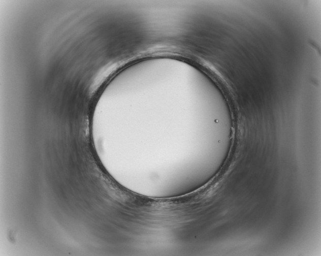 X0000102021461200807180932