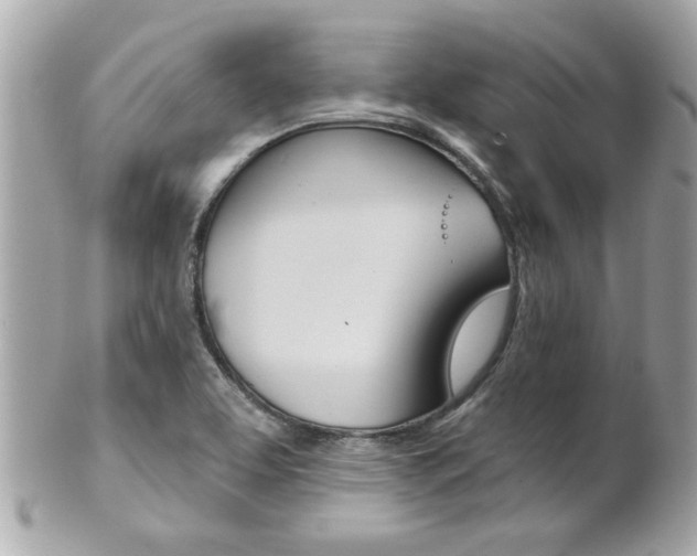 X0000102021463200807180932