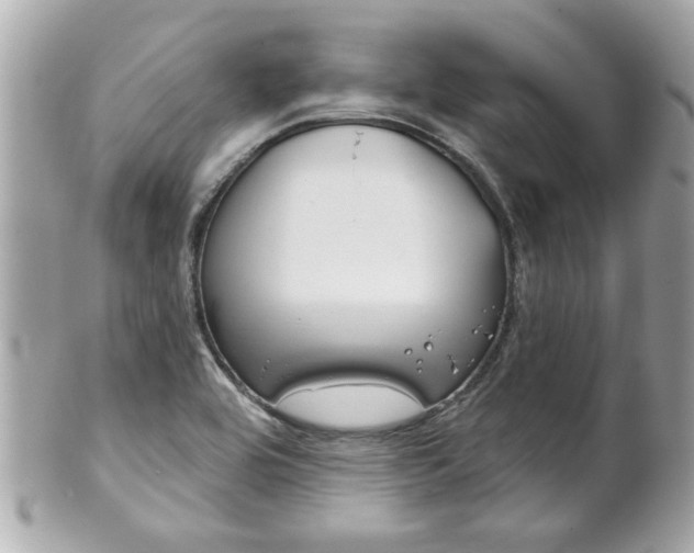 X0000102021464200807180932