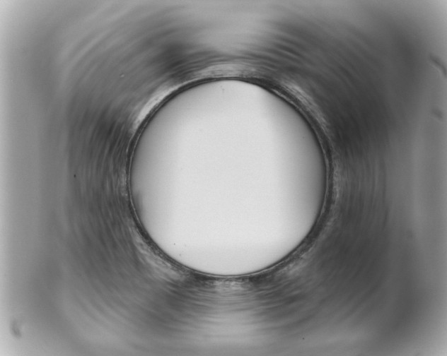 X0000102021465200807180932