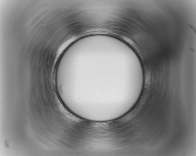 X0000102021466200807180932
