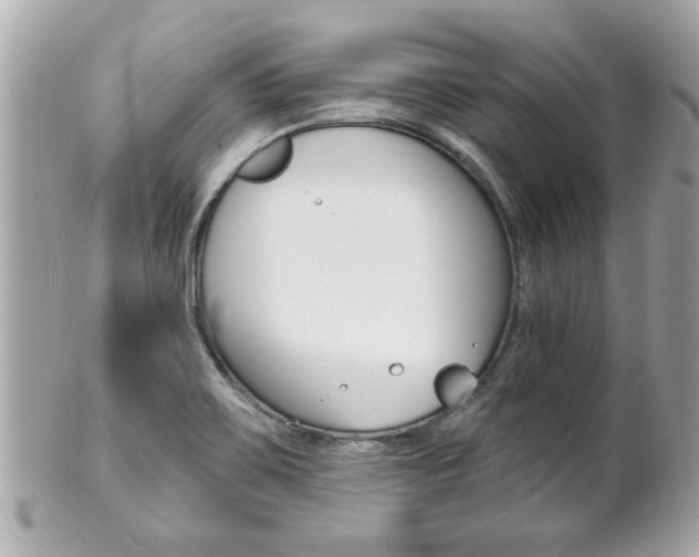 X0000102021467200807180932