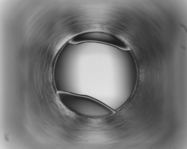 X0000102021468200807180932