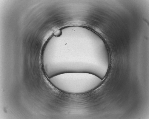 X0000102021469200807180932
