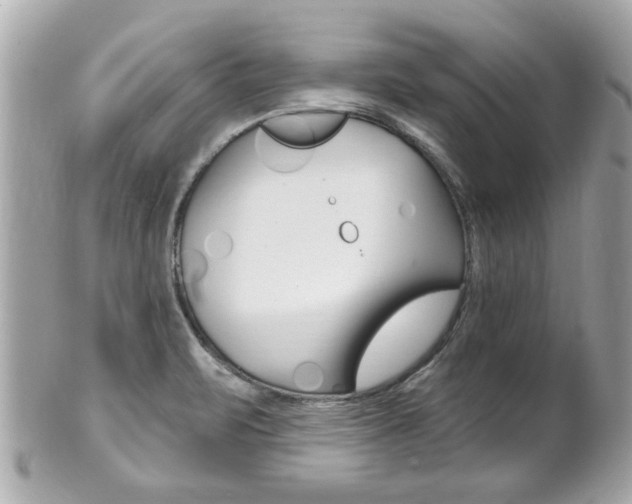 X0000102021471200807180931