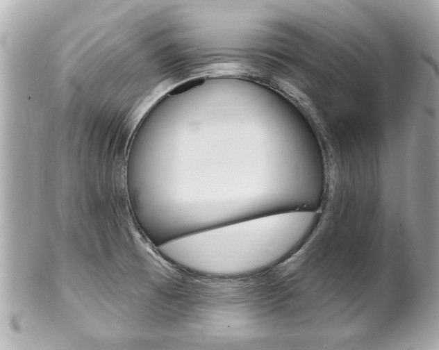 X0000102021473200807180931
