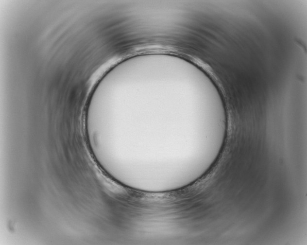 X0000102021474200807180931
