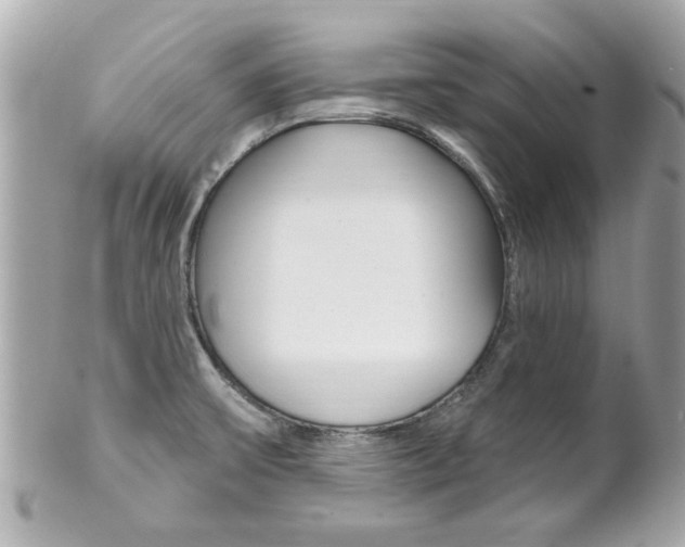 X0000102021475200807180931