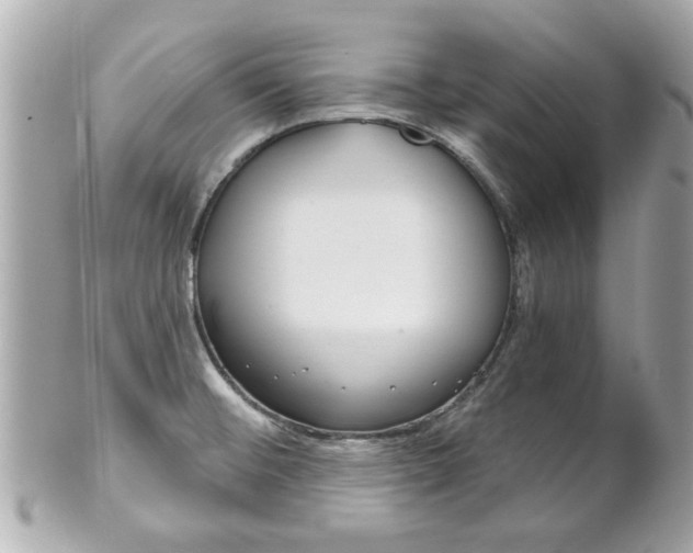 X0000102021476200807180931