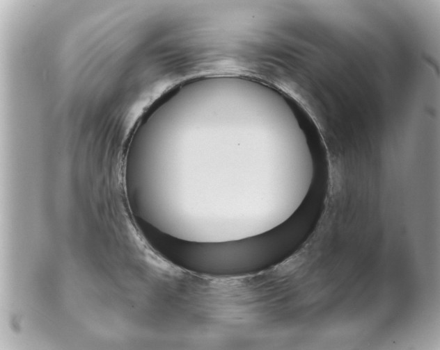 X0000102021477200807180931