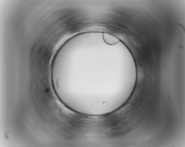 X0000102021478200807180931