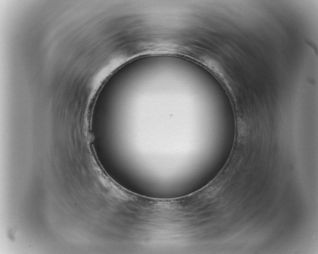 X0000102021480200807180931