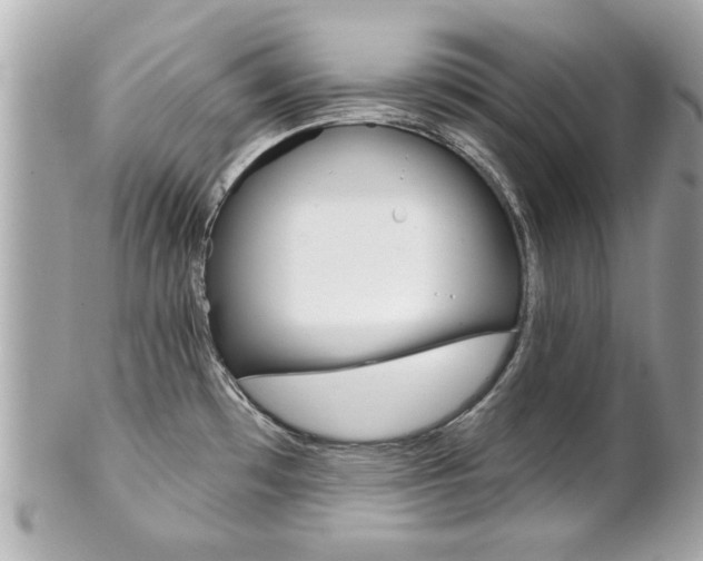X0000102021481200807180931