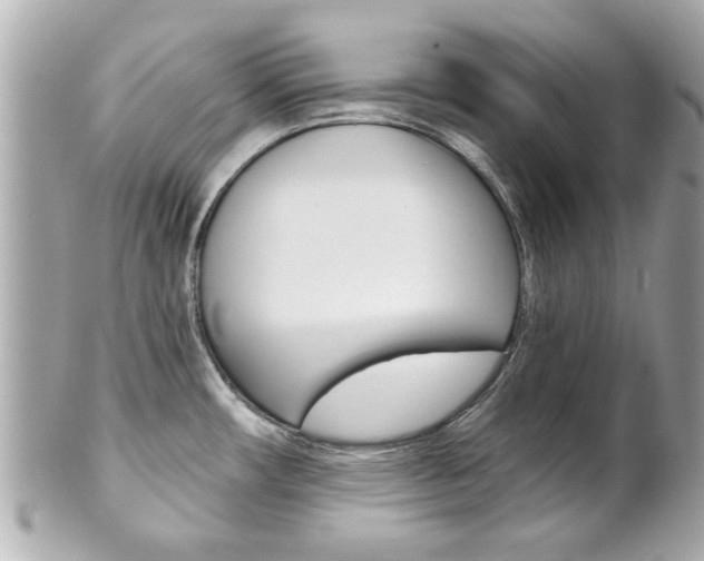 X0000102021482200807180931
