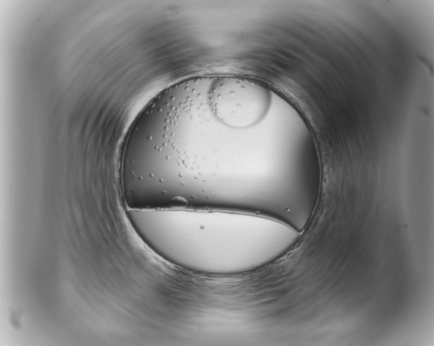 X0000102021483200807180931