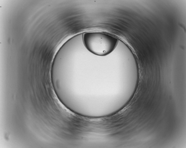 X0000102021484200807180931