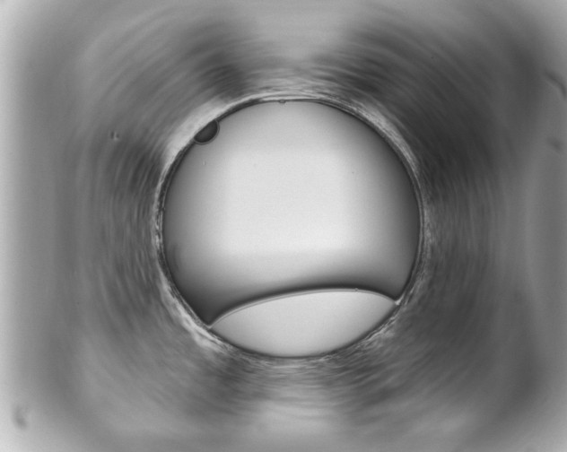 X0000102021485200807180931