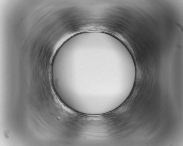 X0000102021486200807180931