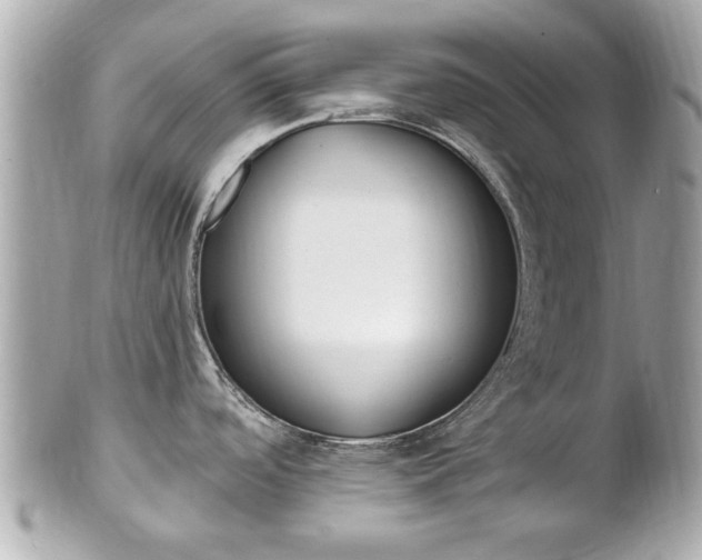 X0000102021488200807180931