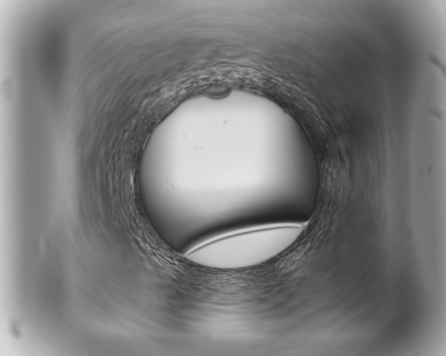 X0000102021489200807180930