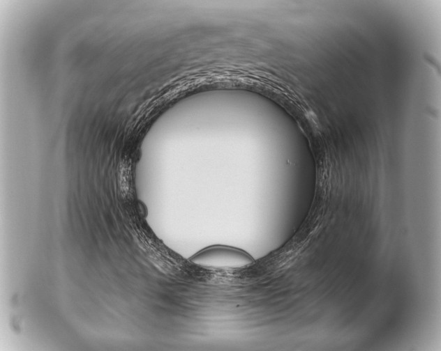X0000102021490200807180930