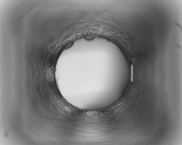 X0000102021491200807180930