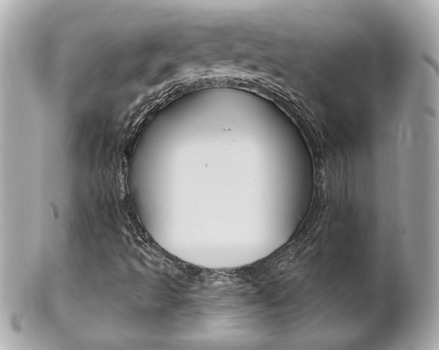 X0000102021493200807180930