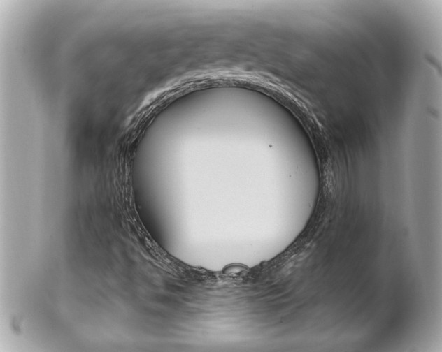 X0000102021494200807180930