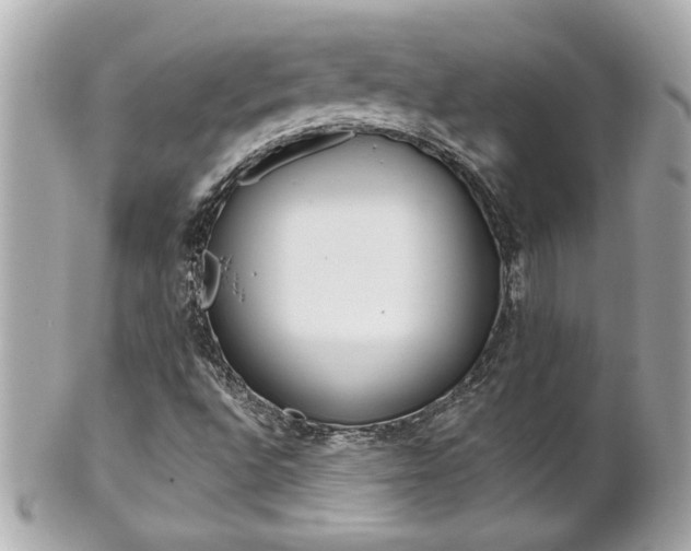 X0000102021496200807180930