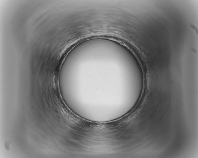 X0000102021497200807180931