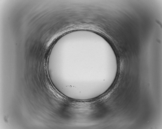 X0000102021498200807180931