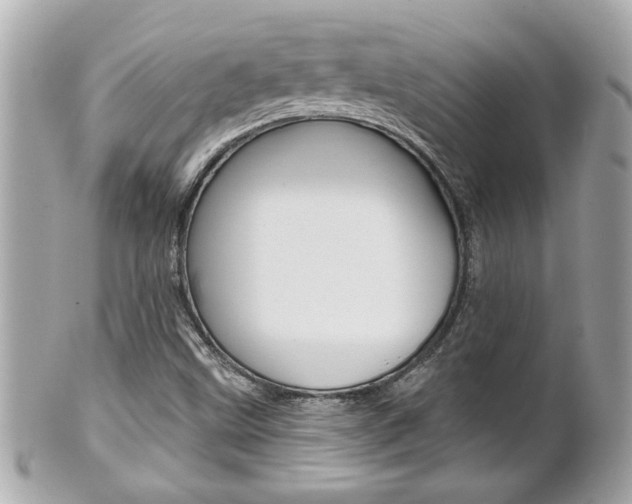X0000102021499200807180931