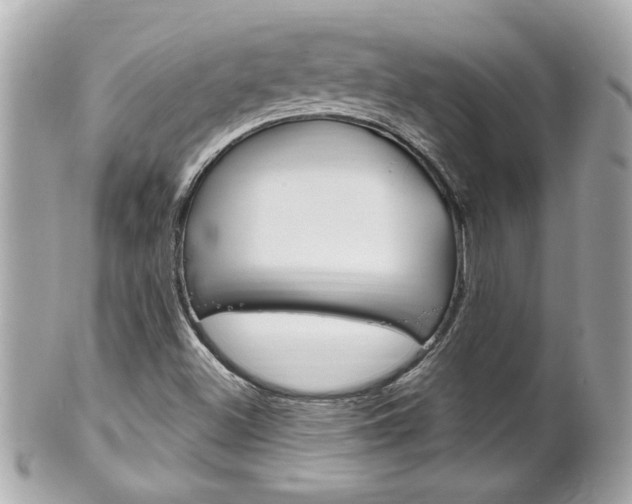 X0000102021500200807180931