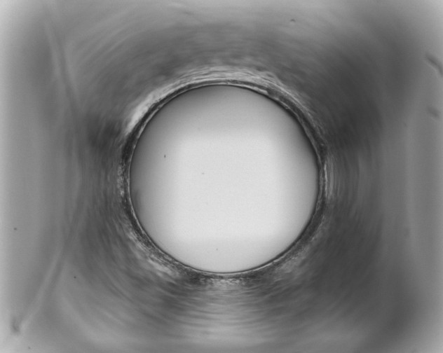 X0000102021501200807180931