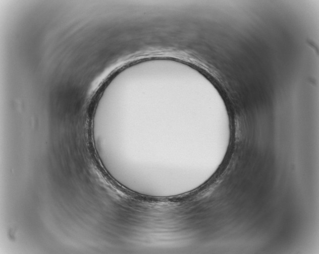 X0000102021502200807180931