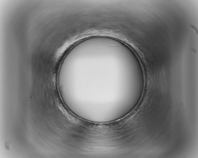 X0000102021503200807180931