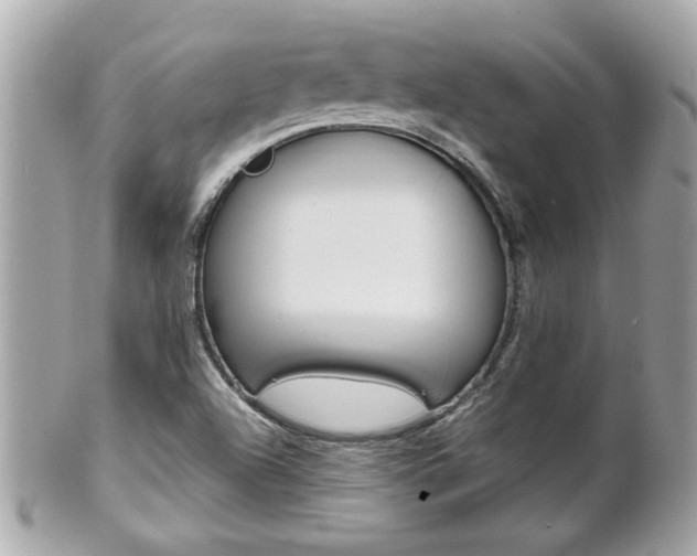 X0000102021504200807180931