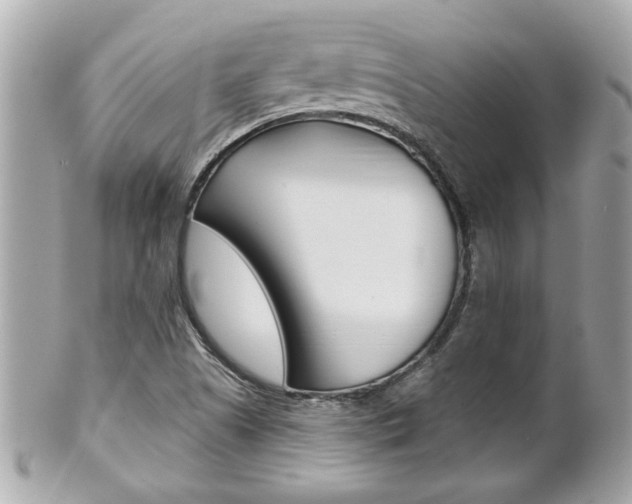 X0000102021505200807180931