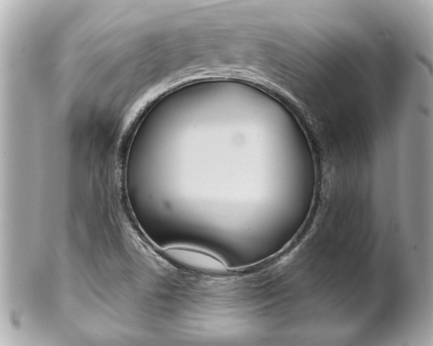X0000102021506200807180931