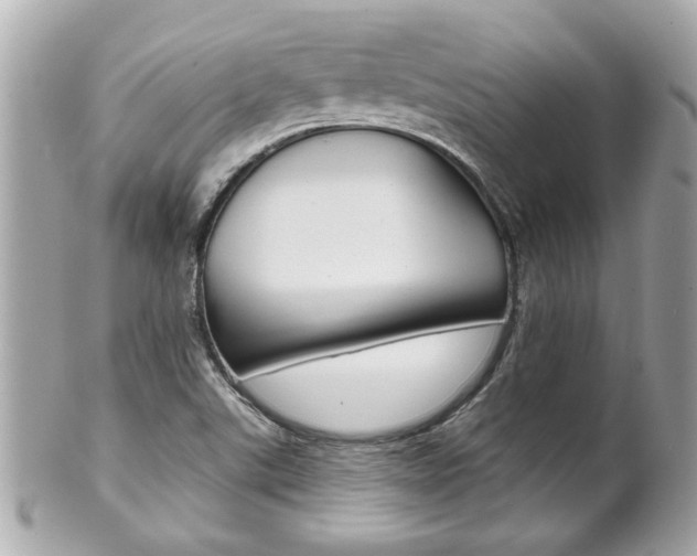 X0000102021507200807180931
