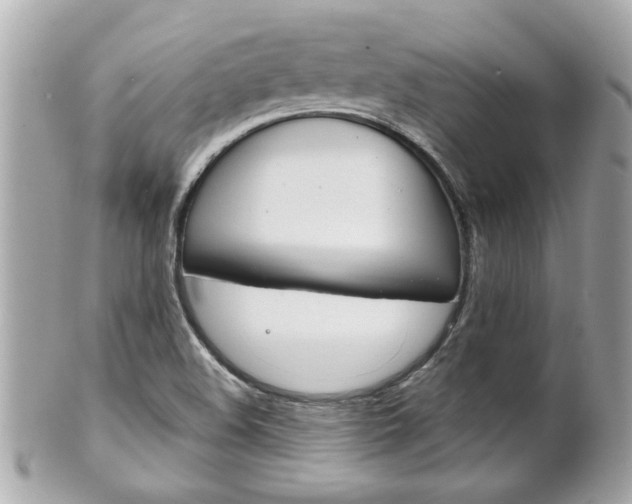 X0000102021508200807180931
