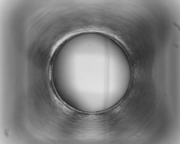 X0000102021510200807180931