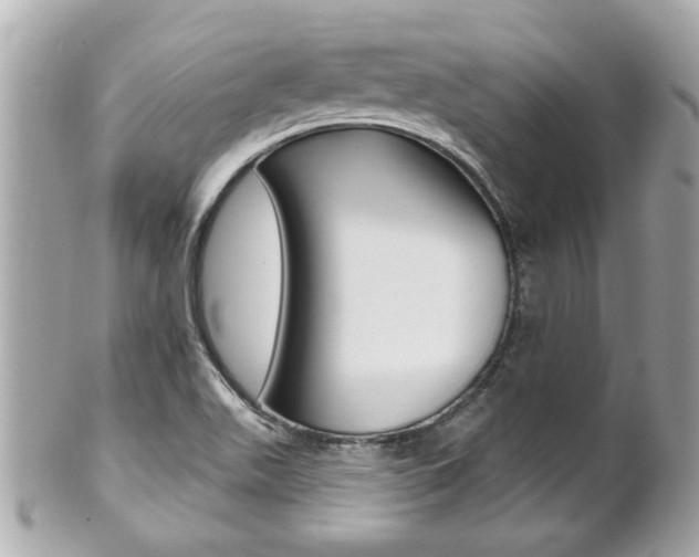 X0000102021511200807180931