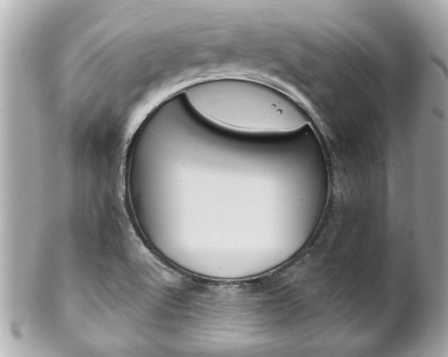 X0000102021512200807180931