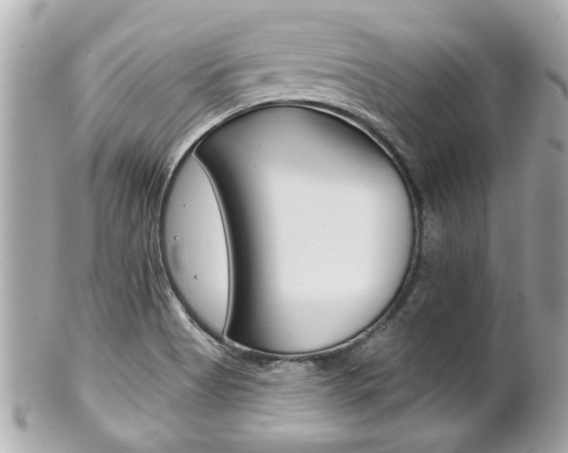 X0000102021513200807180931