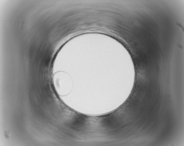 X0000102021514200807180931