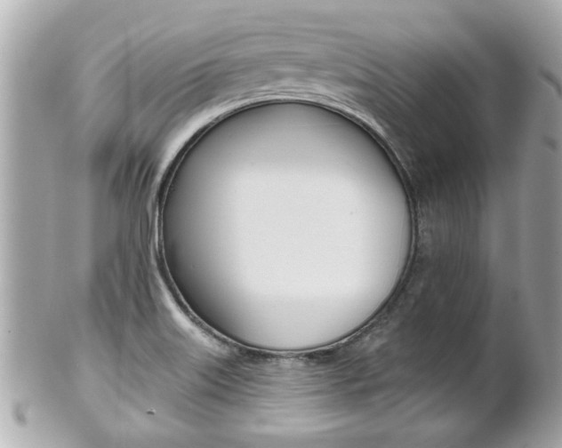 X0000102021515200807180931
